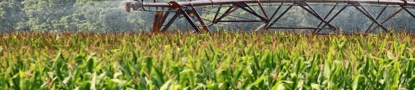 Agricole - MFQ